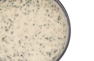 Creamy-Tarragon-Dressing-Sauce