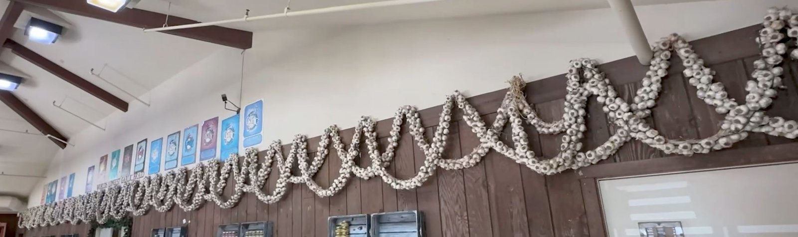 Garlic-Braid-Longest