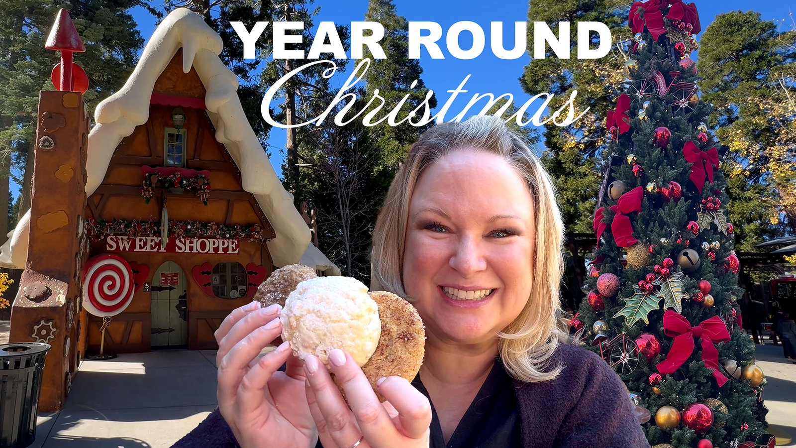 SkyPark at Santa's Village | Deluxe Cookies