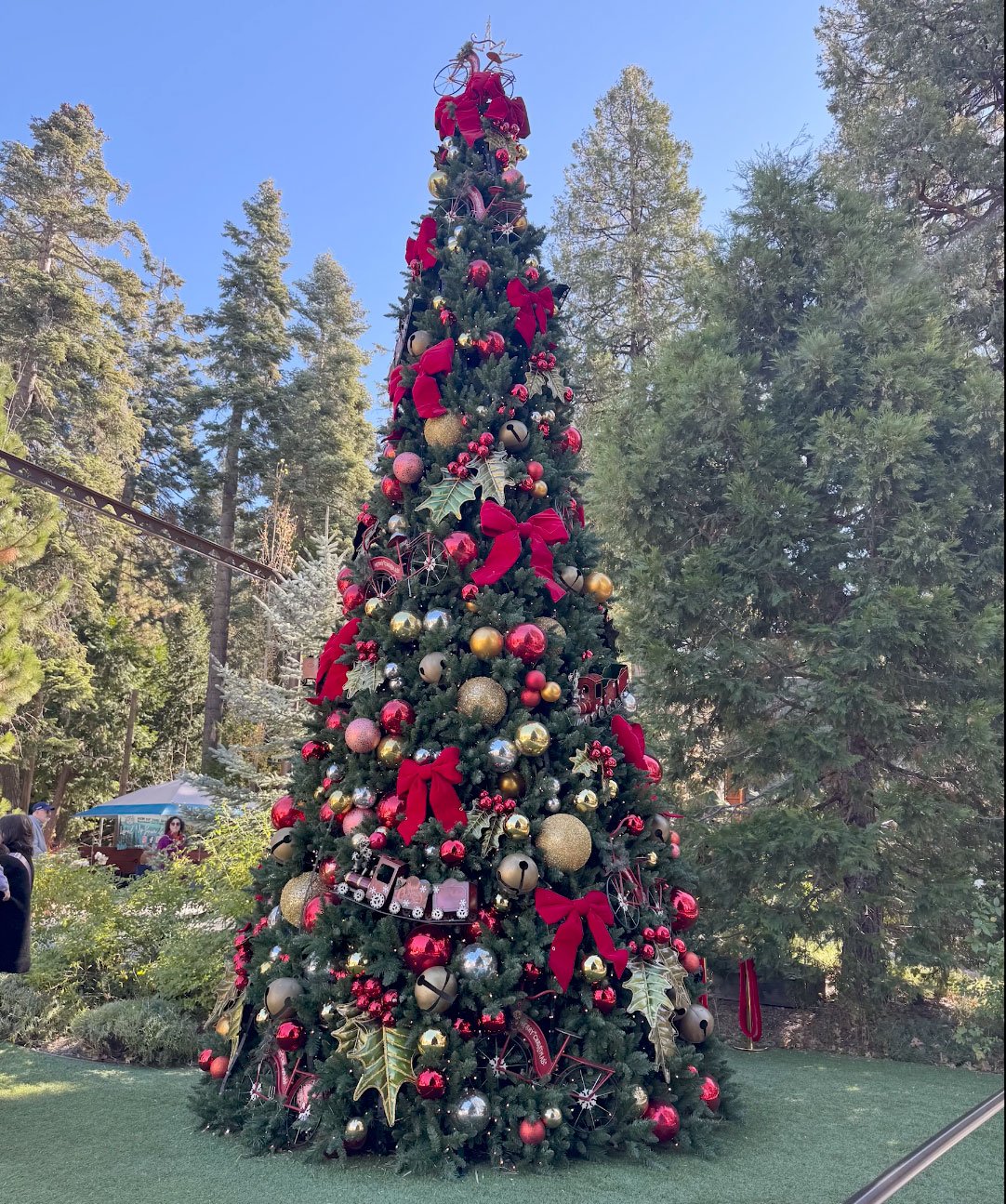 SkyPark-at-Santa's-Village-Christmas-Tree