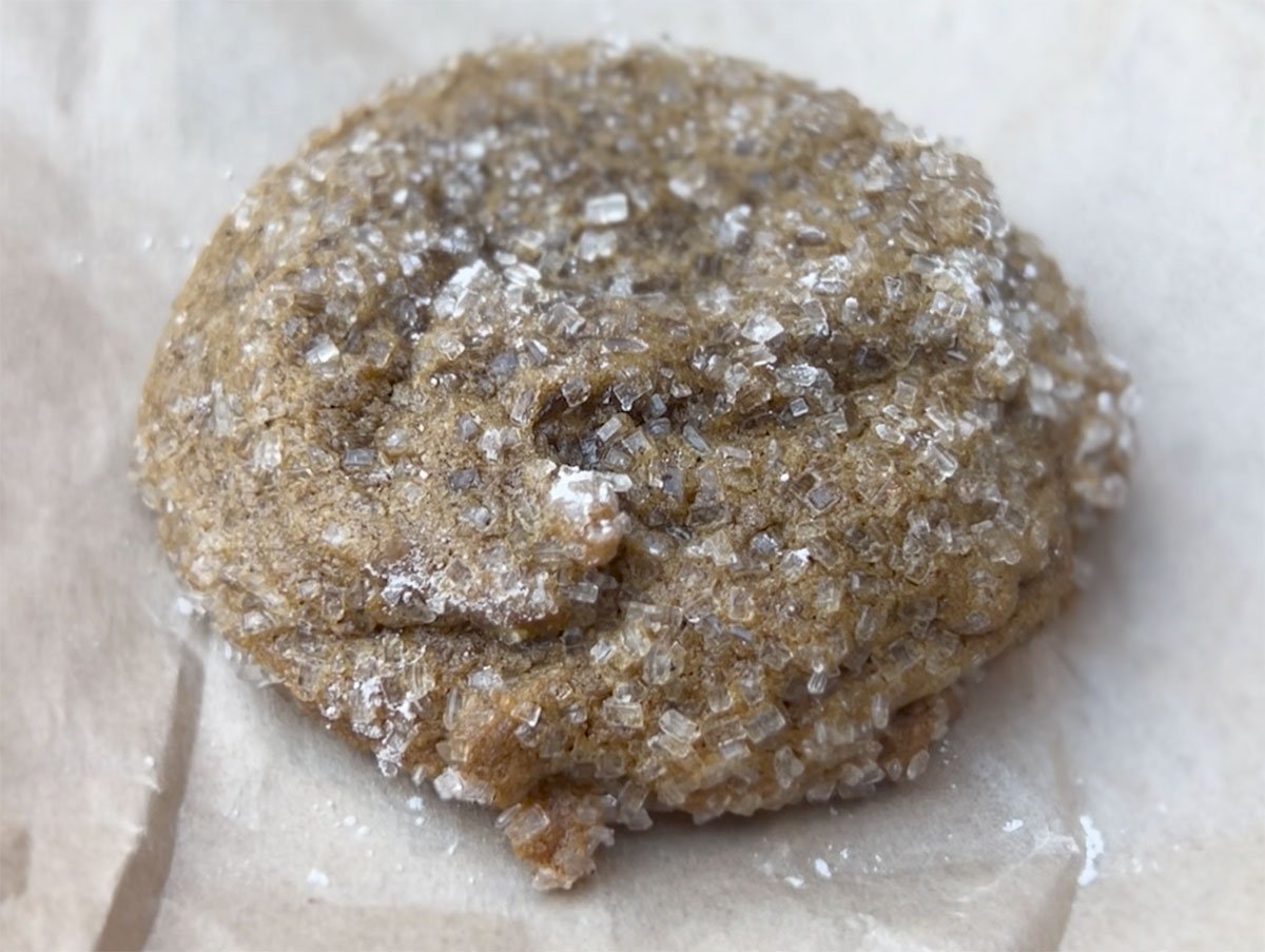 SkyPark-at-Santa's-Village-Gingerdoodle-Cookie-4