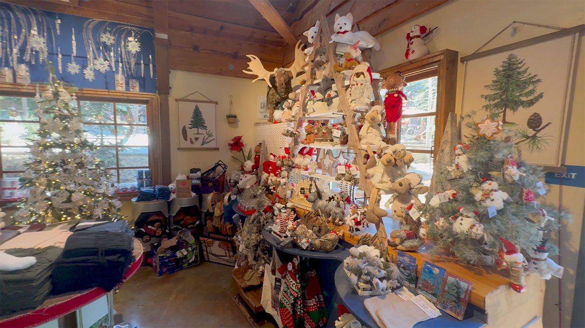 SkyPark-at-Santa's-Village-Shopping