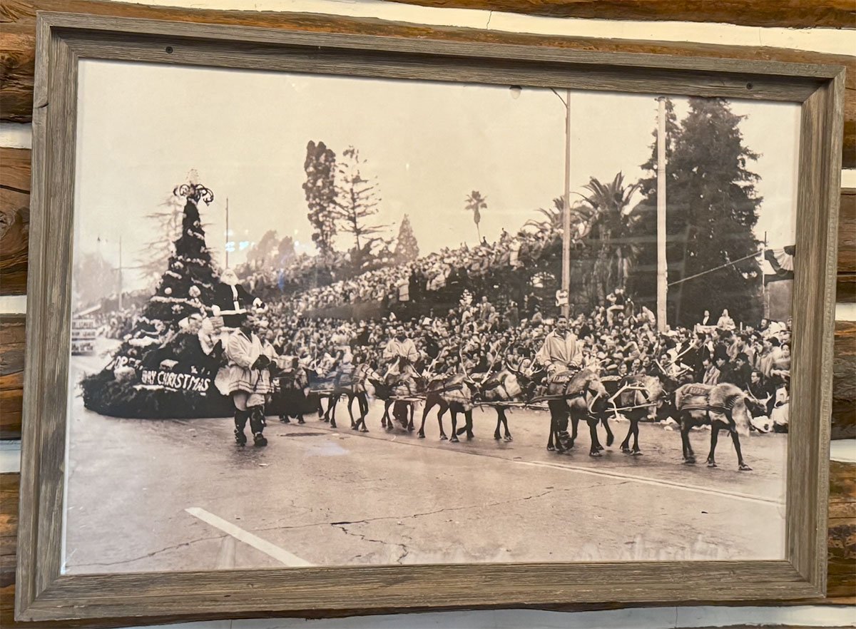 SkyPark-at-Santa's-Village-vintage