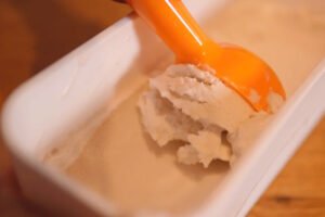 Vanilla-Ice-Cream-Low-Carb-Dairy-Free